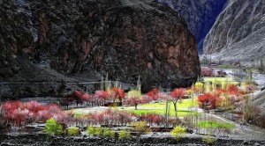 بهار زیبا در فلات پامیر به روایت تصویر