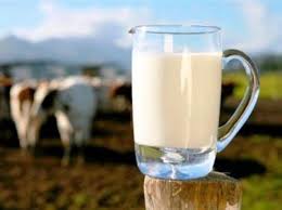 مصرف شیر برای پیشگیری از بیماری ام اس