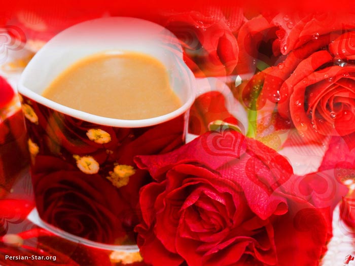 تصاویر زیبا و رمانتیک از گل رز