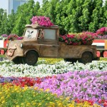باغ گل میراکل دبی بزرگترین باغ گل جهان