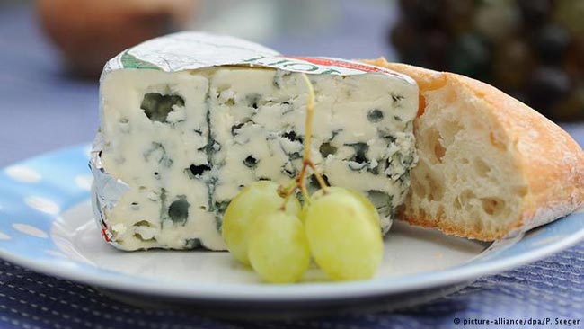 آشنایی با تاریخچه و انواع پنیر