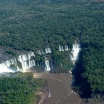 شگفتی های رودخانه آمازون