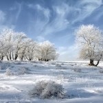 مناظر زیبای زمستانی از مناطق مختلف جهان