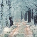 مناظر زیبای زمستانی از مناطق مختلف جهان