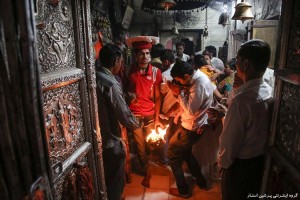 معبد عجیب موش‌ها در هند با ۲۰ هزار موش