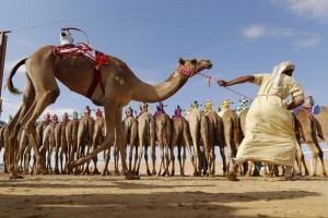 فستیوال اعراب خلیج فارس در بیابانهای دبی