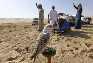 فستیوال اعراب خلیج فارس در بیابانهای دبی