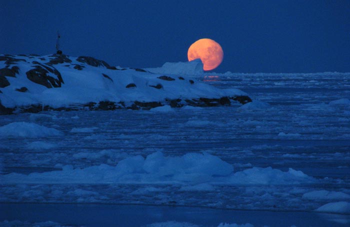 قطب جنوب به روایت تصویر