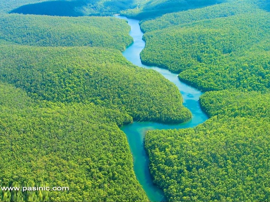 عجایب جنگل های آمازون