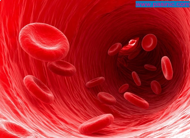 خصوصیات گروههای خونی مختلف