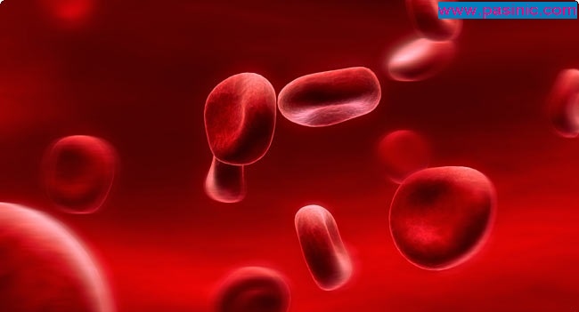 خصوصیات گروههای خونی مختلف