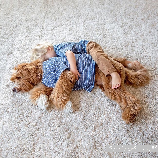 رابطه احساسی عمیق بین یک کودک و سگش