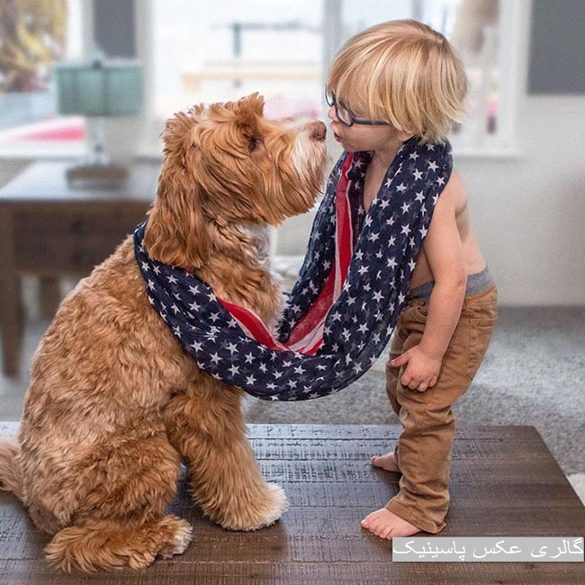 رابطه احساسی عمیق بین یک کودک و سگش