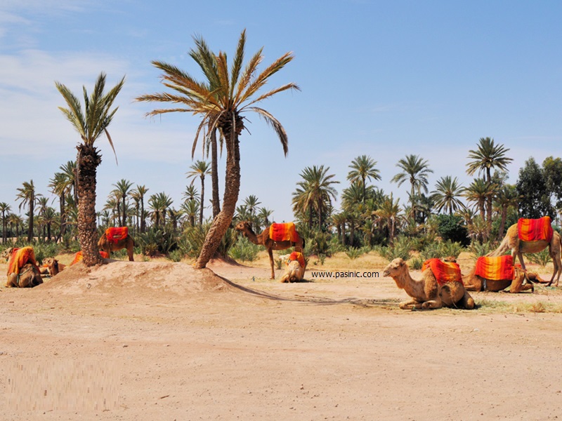 جاذبه های گردشگری مراکش که باید حتما ببینید