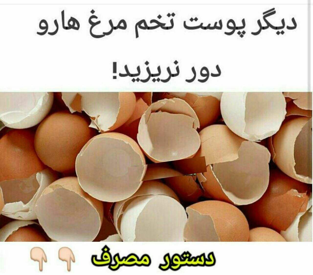 پوست تخم‌مرغ را دور می‌ریزید؟؟؟؟