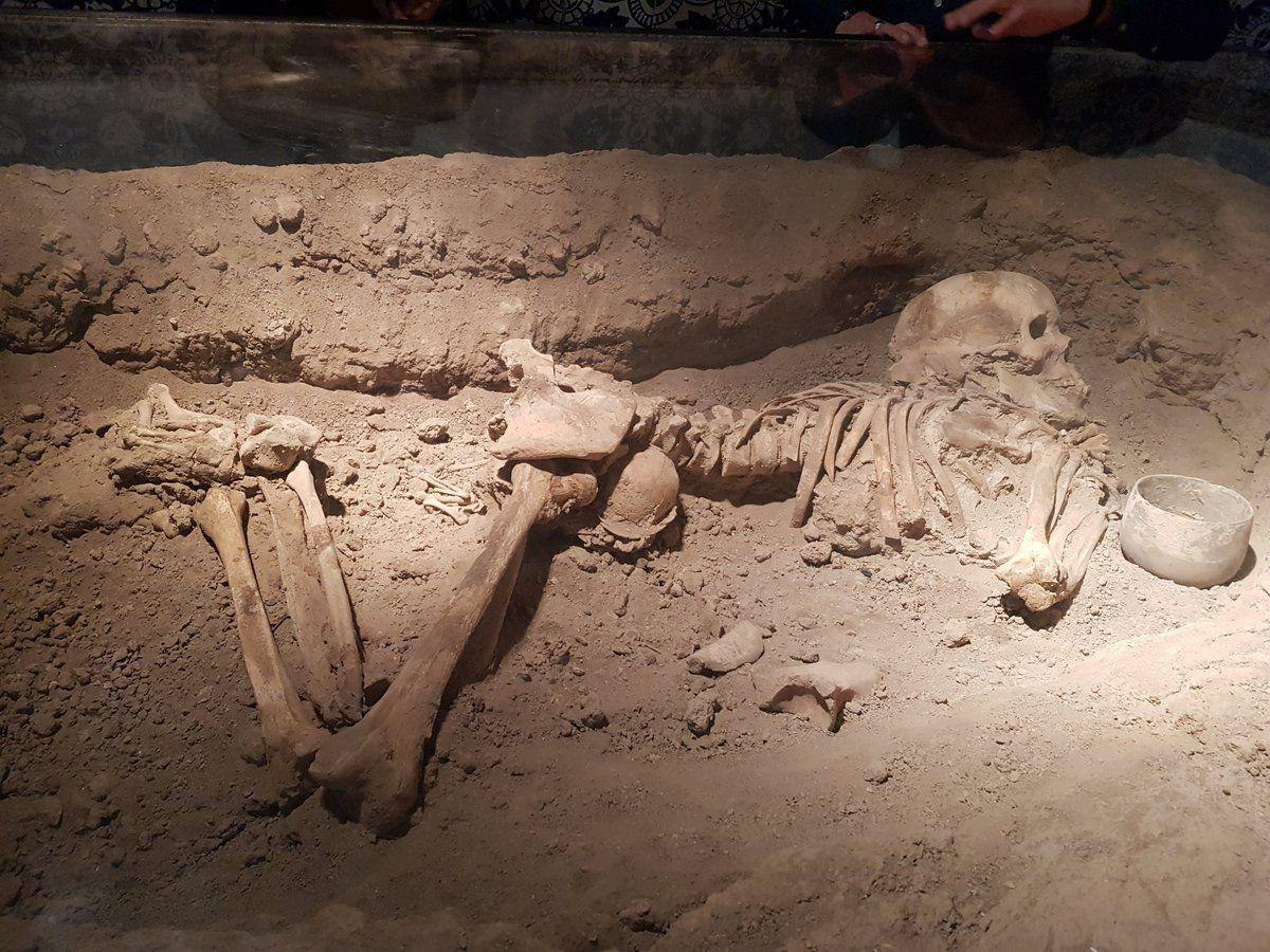 عجیب‌ترین اسکلت باستانی ایران