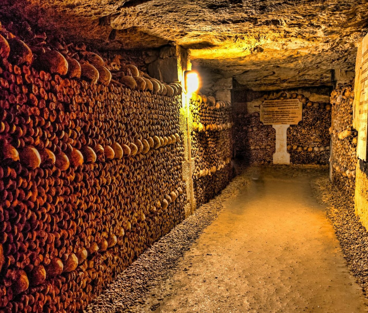 دخمههای معروف پاریس یکی دیگر از جاذبه های ترسناک در جهان هستند که دیوارهای آنها با جمجمه پوشانده شدهاند. این دخمهها و دالانها، اسکلت بیش از 6 میلیون نفر را در خود جای دادهاند. این دخمه در اواخر قرن هجدهم به عنوان مکانی برای دفن افراد درنظر گرفته شده بود، زیرا در آن زمان گورستانهای شهر مملو از اجساد بودند و به خاک سپردن اجساد جدید غیر ممکن بود. دخمههای معروف پاریس یکی دیگر از جاذبه های ترسناک در جهان هستند که دیوارهای آنها با جمجمه پوشانده شدهاند. این دخمهها و دالانها، اسکلت بیش از 6 میلیون نفر را در خود جای دادهاند. این دخمه در اواخر قرن هجدهم به عنوان مکانی برای دفن افراد درنظر گرفته شده بود، زیرا در آن زمان گورستانهای شهر مملو از اجساد بودند و به خاک سپردن اجساد جدید غیر ممکن بود.