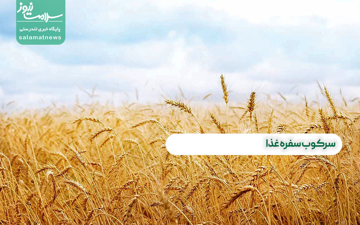 سرکوب سفره غذا سرکوب سفره غذا