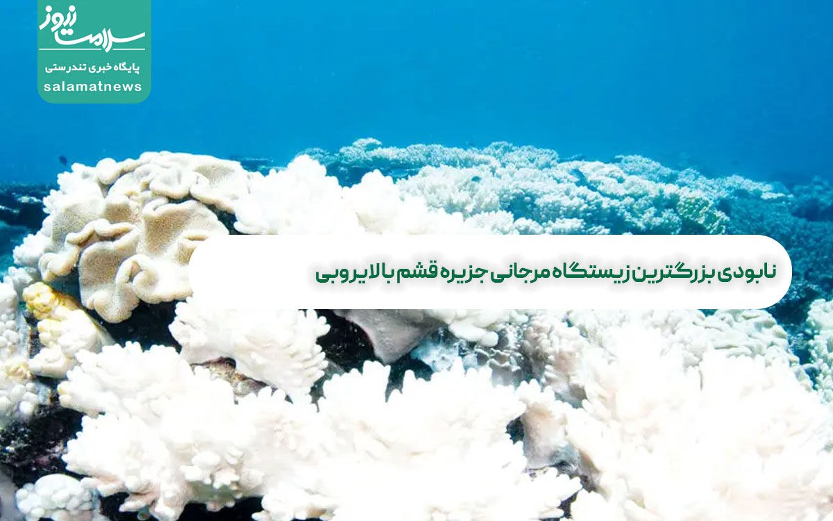 نابودی بزرگترین زیستگاه مرجانی جزیره قشم با لایروبی نابودی بزرگترین زیستگاه مرجانی جزیره قشم با لایروبی