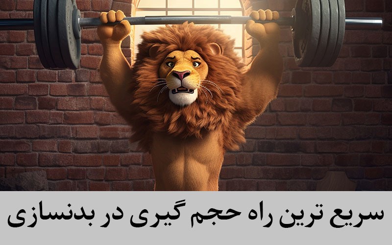 سریع ترین راه حجم گیری در بدنسازی سریع ترین راه حجم گیری در بدنسازی