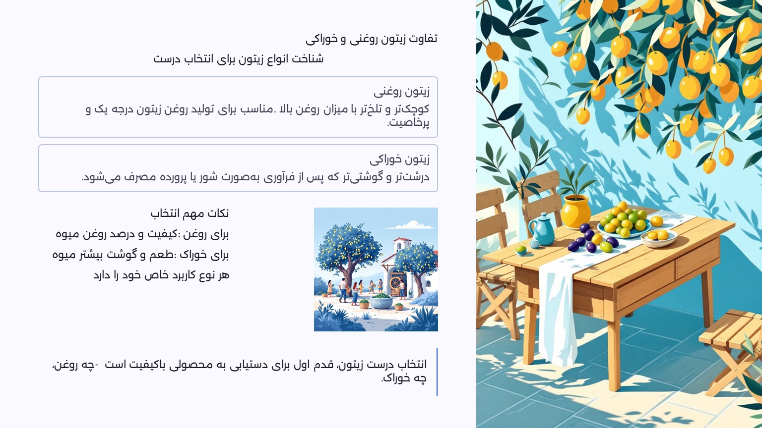 تفاوت زیتون روغنی و خوراکی