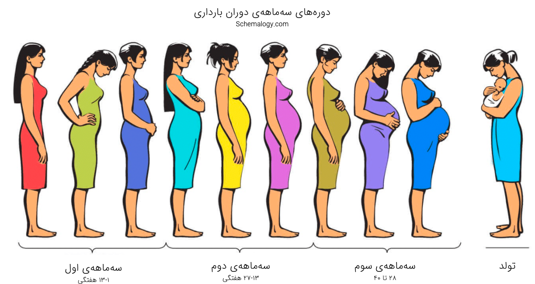 علائم بارداری در روزهای اول تشکیل نطفه