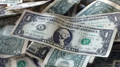 قیمت دلار امروز بازار را تکان داد (۴ آذر ۱۴۰۴)