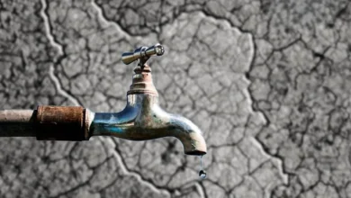 اخطار جدی برای تهرانی‌ها ؛ به داد خودتان برسید