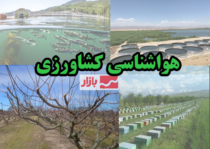 ضرورت انتقال محصولات کشاورزی برداشت شده به مکان‌های مسقف