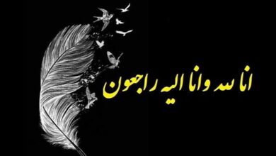 فوری/ جامعه ورزشی کشور عزادار شد