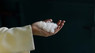 هوش مصنوعی پرهای مرغ را به پارچه کشمیر تبدیل می‌کند