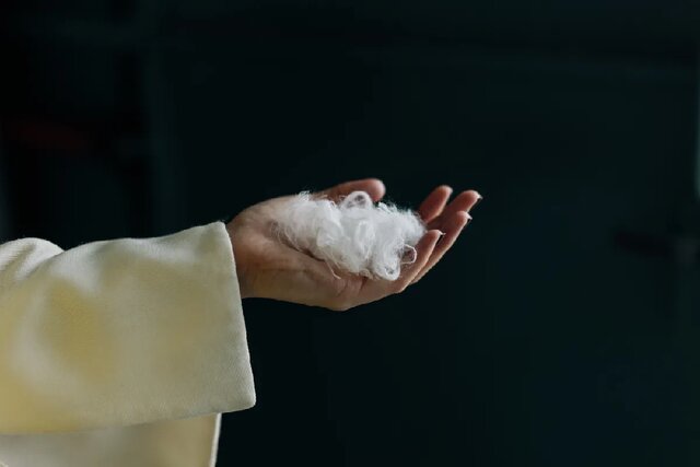 هوش مصنوعی پرهای مرغ را به پارچه کشمیر تبدیل می‌کند