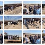 پشت صحنه پروژه نوینکس(Nowinex)، واقعیت شفاف‌ترین مدل سرمایه‌گذاری ایران