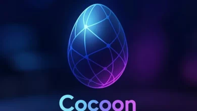 چگونه می‌توان از شبکه Cocoon تلگرام درآمد کسب کرد؟