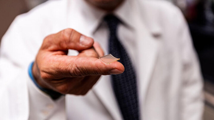 طراحی پوستی مصنوعی که رنگ و بافت خود را تغییر میدهد طراحی پوستی مصنوعی که رنگ و بافت خود را تغییر میدهد