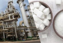 پاسخ سازمان غذا و دارو به فرایند تولید قند و شکر پاسخ سازمان غذا و دارو به فرایند تولید قند و شکر