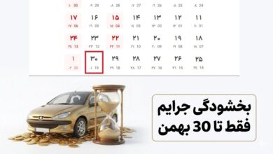 بخشودگی جرایم بیمه