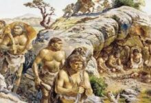 انسان‌ها از چه زمانی شروع به لباس پوشیدن کردند؟