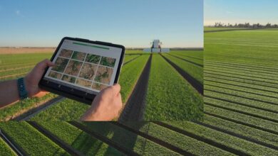 با هوش مصنوعی مزرعهدار آشنا شوید! با هوش مصنوعی مزرعهدار آشنا شوید!