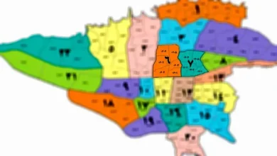 بازار ملک تهران در فاز انتظار