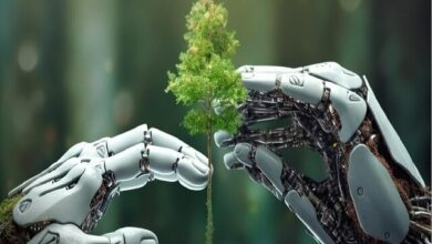 بهره‌برداری آزمایشی از فاز اول سکوی هوش مصنوعی سازمان محیط زیست