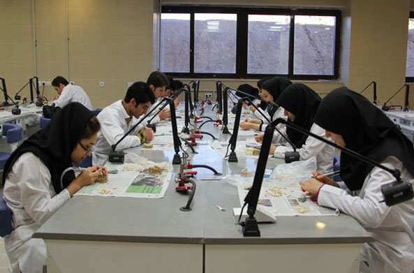 تجاریسازی؛ گمشده اکوسیستم نوآوری در خراسان تجاریسازی؛ گمشده اکوسیستم نوآوری در خراسان