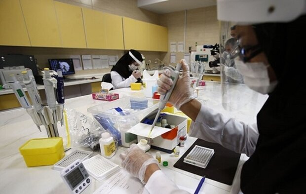 تجاریسازی؛ گمشده اکوسیستم نوآوری در خراسان تجاریسازی؛ گمشده اکوسیستم نوآوری در خراسان