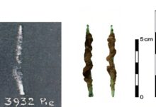 مصریان ۵۳۰۰ سال پیش از مته های فنری استفاده می کردند مصریان ۵۳۰۰ سال پیش از مته های فنری استفاده می کردند