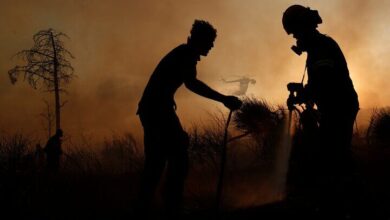 هشدار افزایش دما و وزش باد در شمال؛ احتمال وقوع آتش‌سوزی در جنگل‌ها