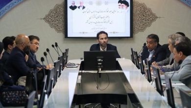 گرجی: ایران ظرفیت رقابتی بالایی برای توسعه صنعت پوشاک دارد