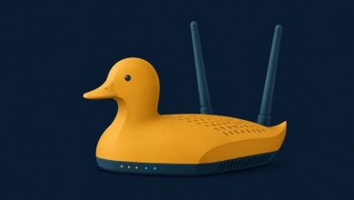 بات‌نت RustDuck با نسخه‌ای جدید در کمین است؛ روترها و سرورها در همه جای دنیا در معرض خطر حملات DDoS