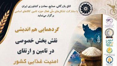 هشدار محترمانه درباره فروپاشی زنجیره تأمین کالاهای اساسی| واردات برنج به نصف رسید