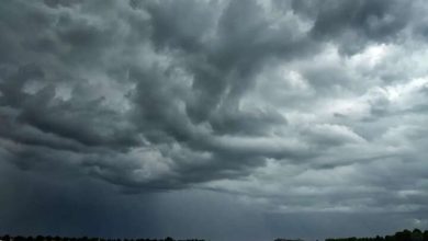 پیش بینی بارش های فراتر از نرمال برای فصل پاییز