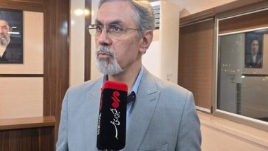 اجرای پزشک خانواده در ۶۴ شهر تا رفع کامل اشکالات ادامه می‌یابد